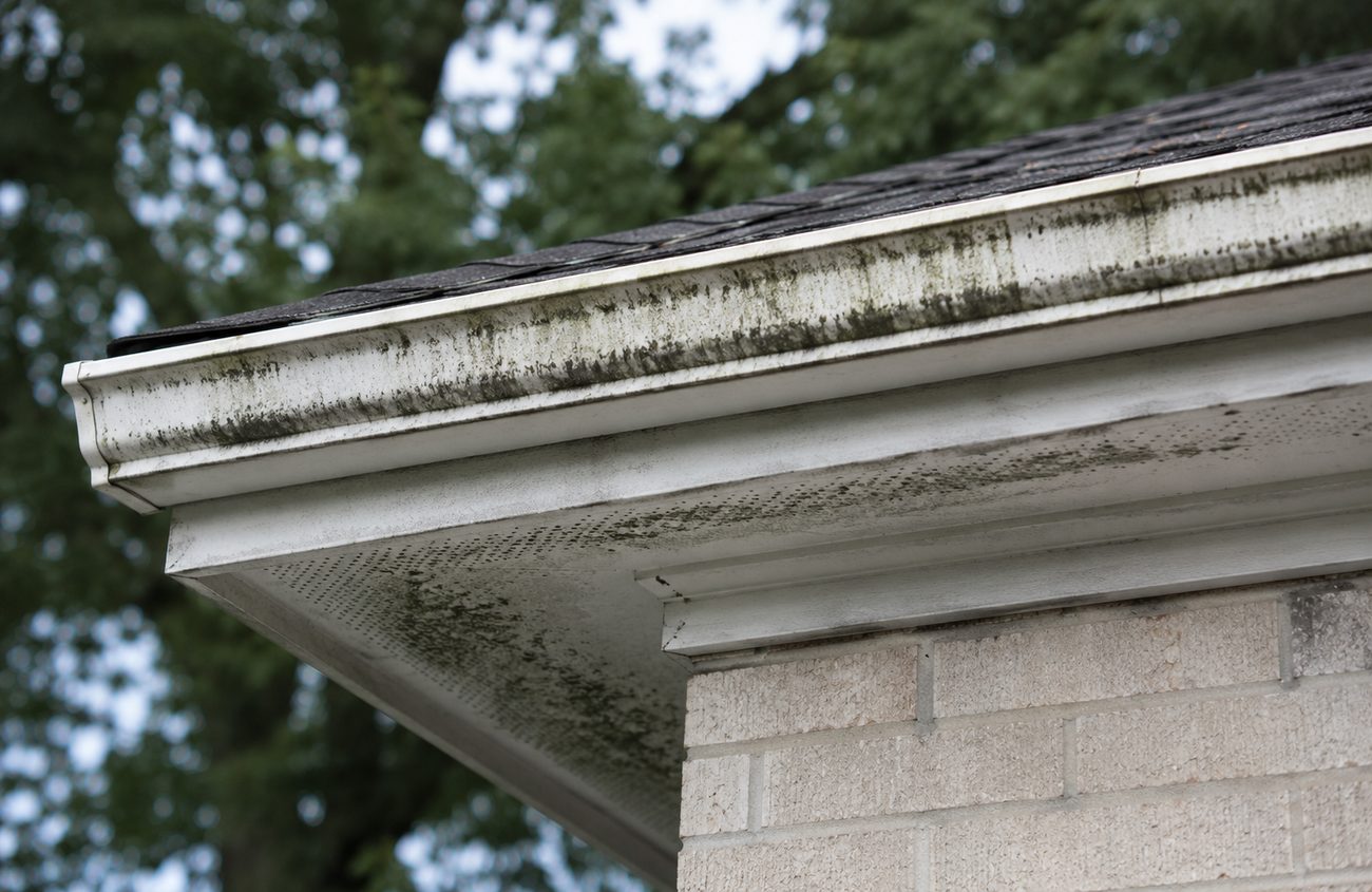 Mold or mildew growth near the roofline